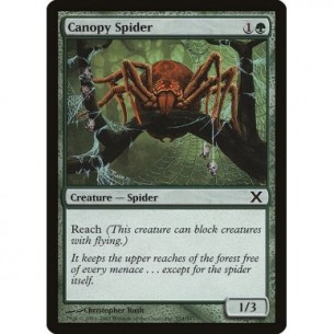 Canopy Spider