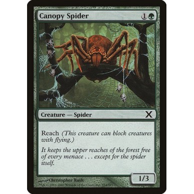 Canopy Spider