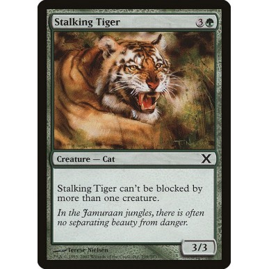 Tigre in Agguato