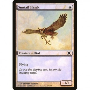 Suntail Hawk