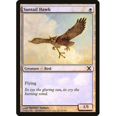 Suntail Hawk