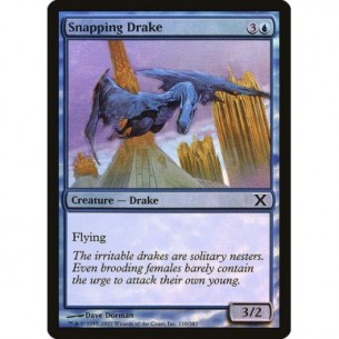 Snapping Drake