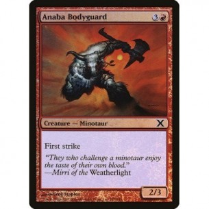 Anaba Bodyguard