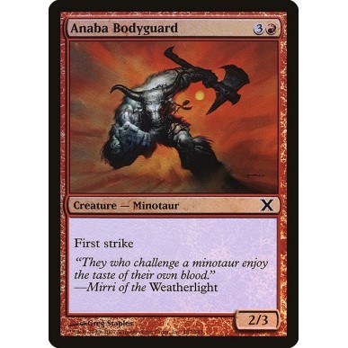 Anaba Bodyguard