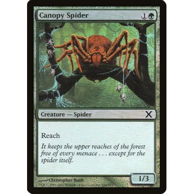 Canopy Spider