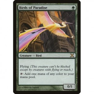 Uccelli del Paradiso