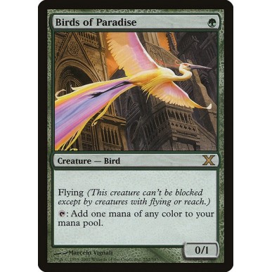 Uccelli del Paradiso