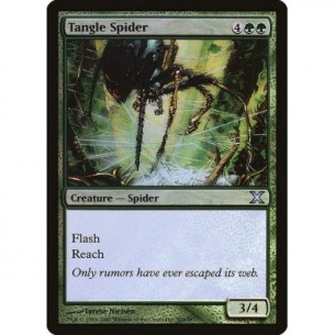 Tangle Spider