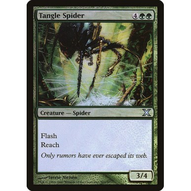 Tangle Spider