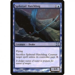 Spiketail Hatchling