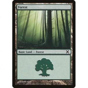 Forest