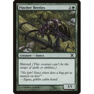 Pincher Beetles
