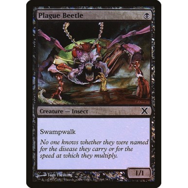 Plague Beetle