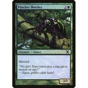 Pincher Beetles