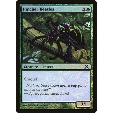 Pincher Beetles