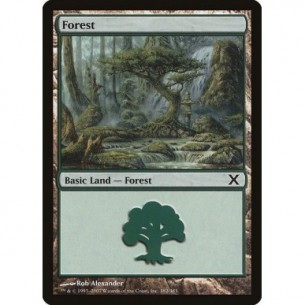 Forest
