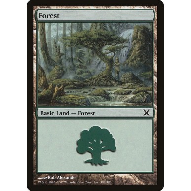 Forest