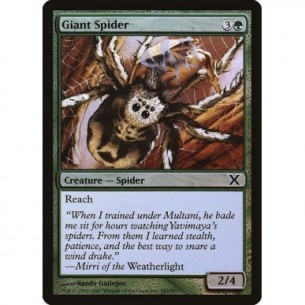 Giant Spider