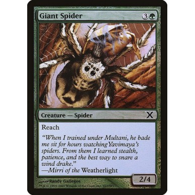 Giant Spider
