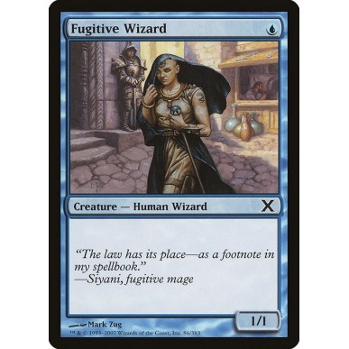 Fugitive Wizard