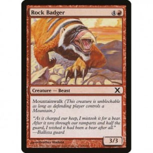 Rock Badger