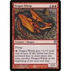 Dragon Whelp