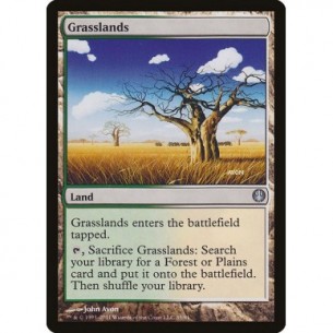 Grasslands