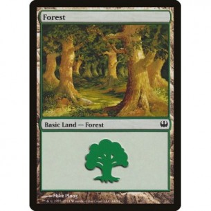 Foresta