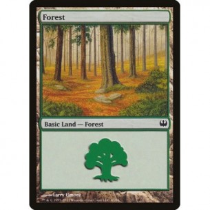 Foresta