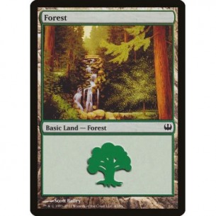 Foresta
