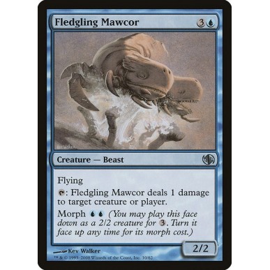 Fledgling Mawcor