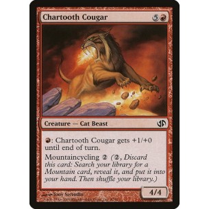 Chartooth Cougar