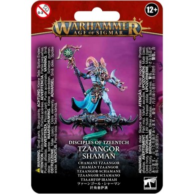Disciples of Tzeentch - Tzaangor Shaman (4a Edizione)