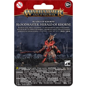 Blades of Khorne - Bloodmaster, Herald of Khorne (4a Edizione)