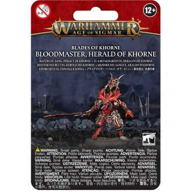 Blades of Khorne - Bloodmaster, Herald of Khorne (4a Edizione)