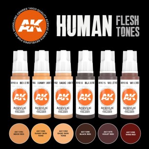 AK - Set di Pittura Human Flesh Tones - AK11603 2