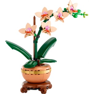 LEGO Botanicals - 10343 - Mini-Orchidea 2