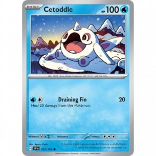 Cetoddle