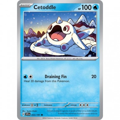 Cetoddle
