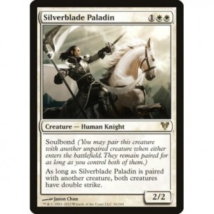 Paladino dalla Lama d'Argento