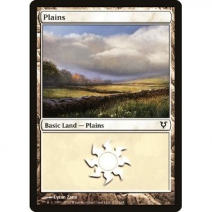 Plains