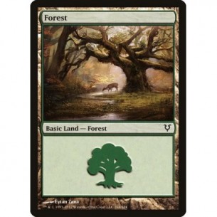 Foresta