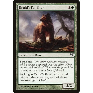Druid's Familiar