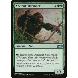 Ancient Silverback