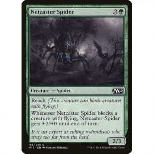 Netcaster Spider