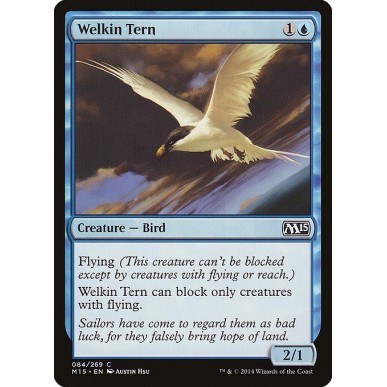 Welkin Tern