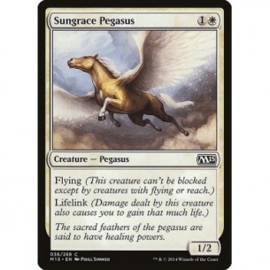 Pegaso dalla Grazia Solare