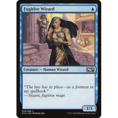 Fugitive Wizard