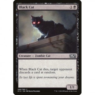 Black Cat
