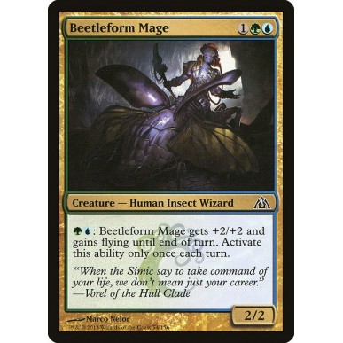 Beetleform Mage